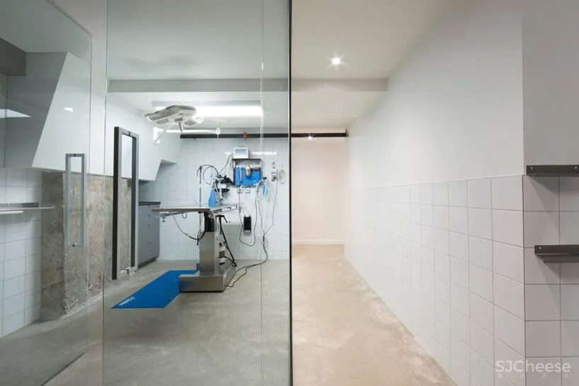 蒙特利尔废弃照相馆改造兽医医院和住宅设计