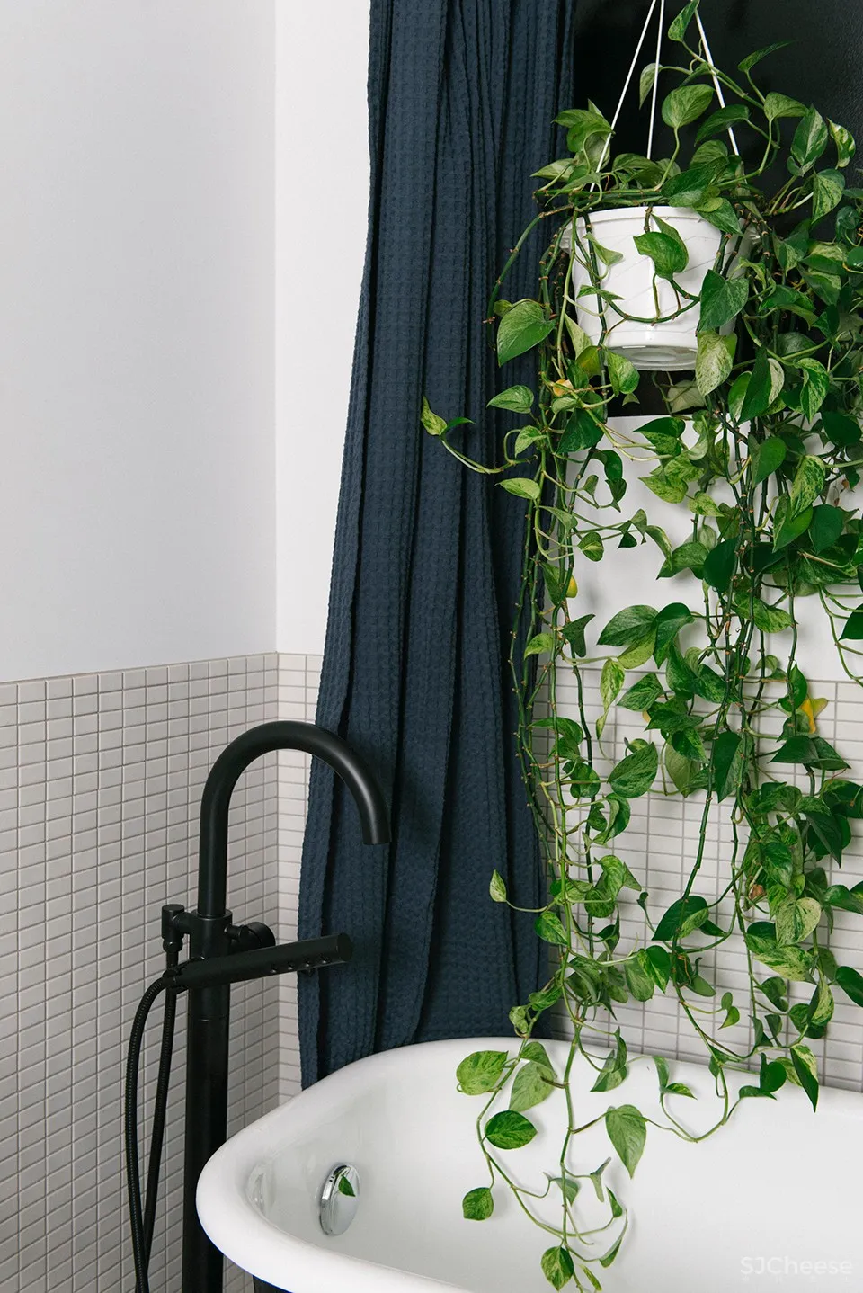 Studio Roslyn:温哥华 Ad Astra住宅 首