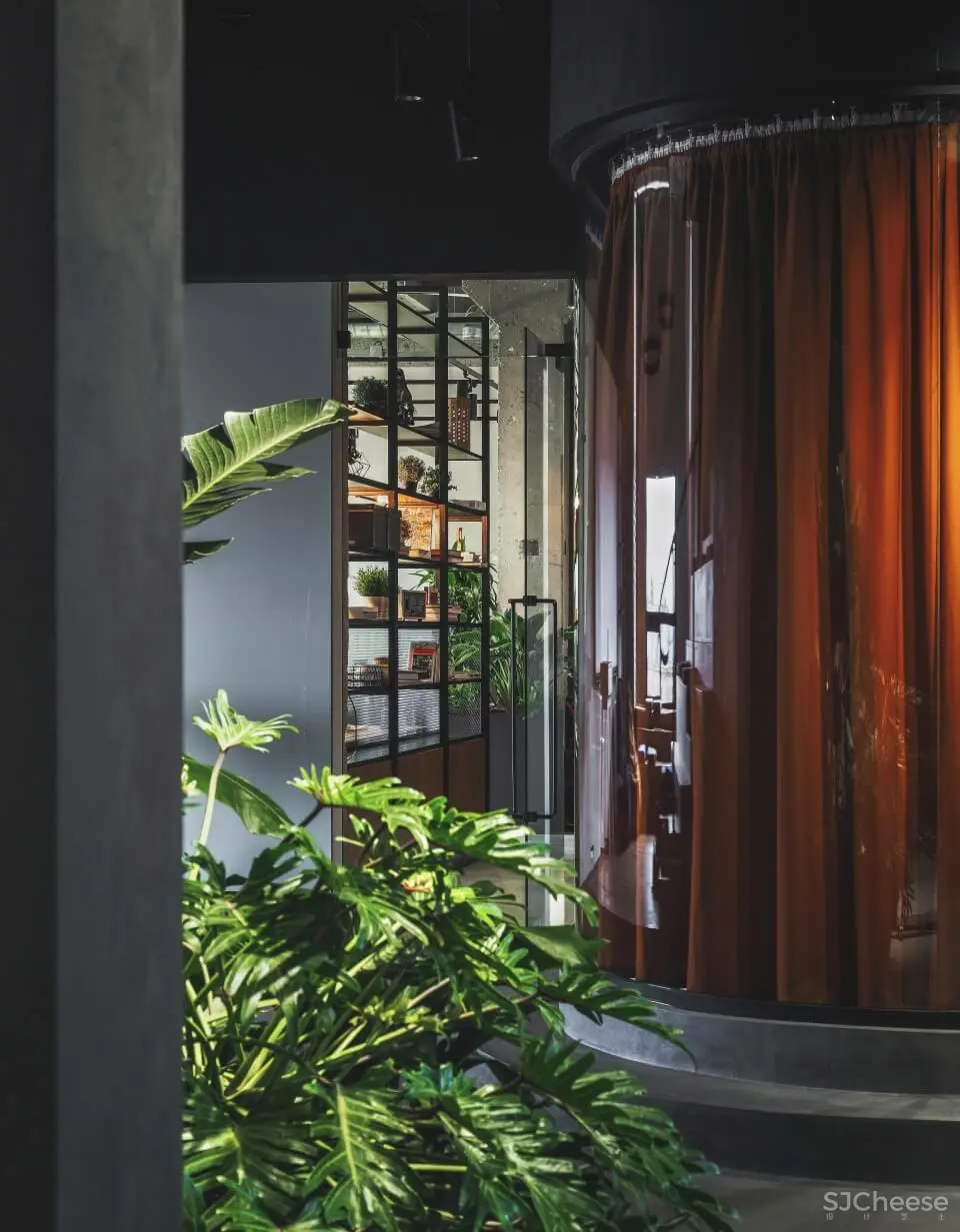 俄罗斯PETSHOP IT部门包豪斯风格办公室设计