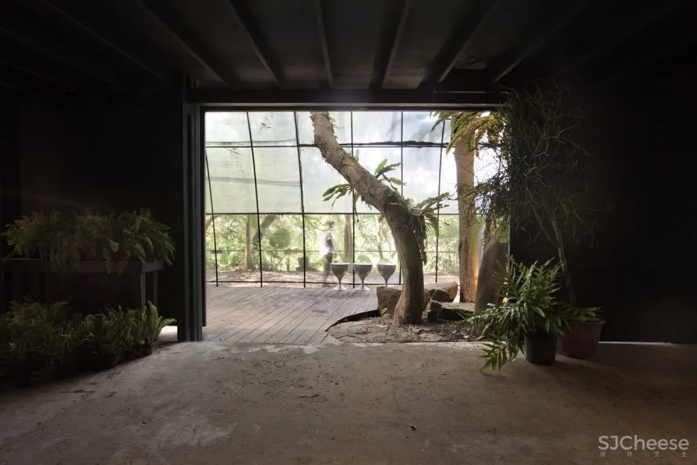 自然治愈系 / DIVOOE ZEIN Architects 首