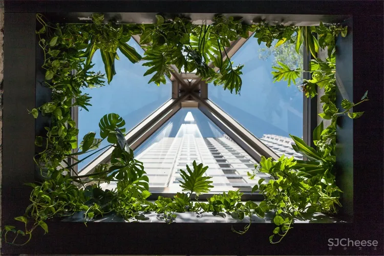 日本连锁餐厅Ryu在加拿大蒙特利尔开张