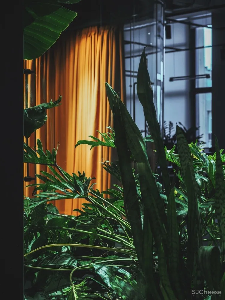 PETSHOP office / PAUM design 首