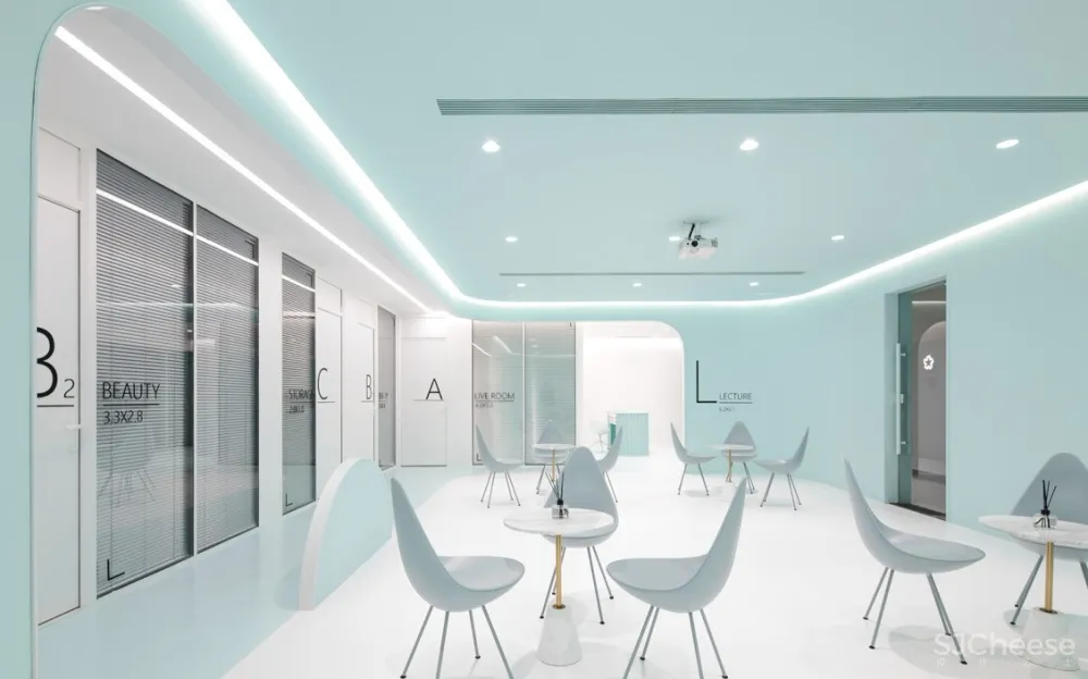 首发 | 我们和洛园一起,做了一个薄荷味的梦