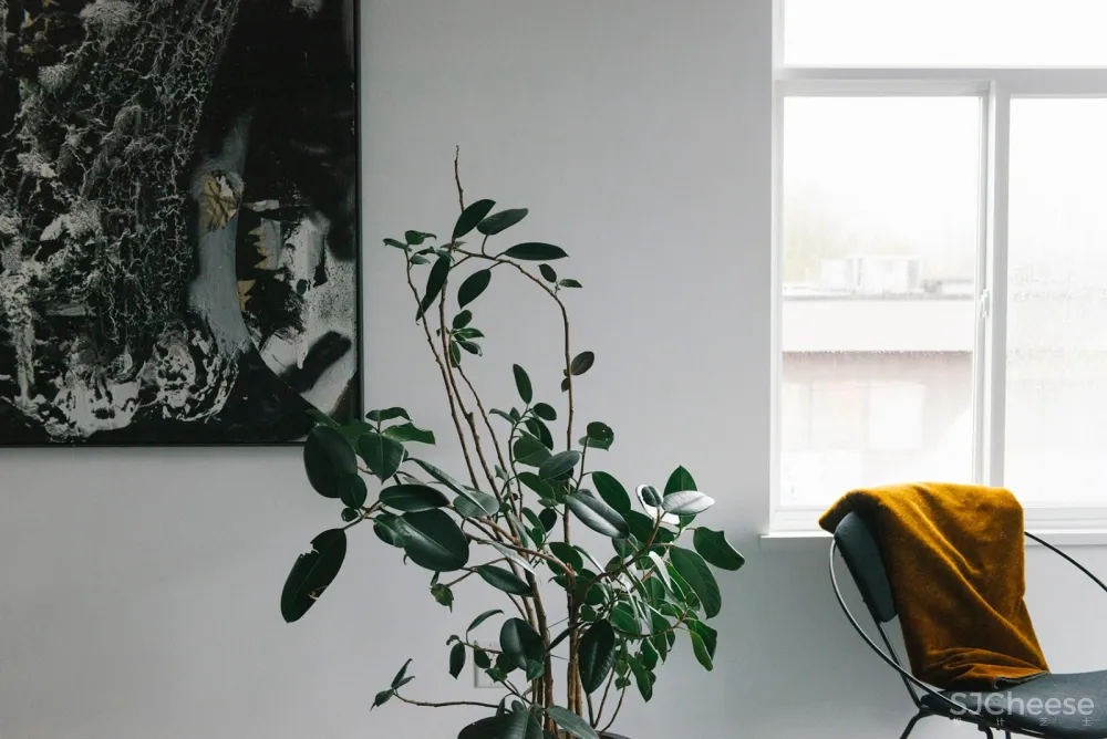 Studio Roslyn:温哥华 Ad Astra住宅 首