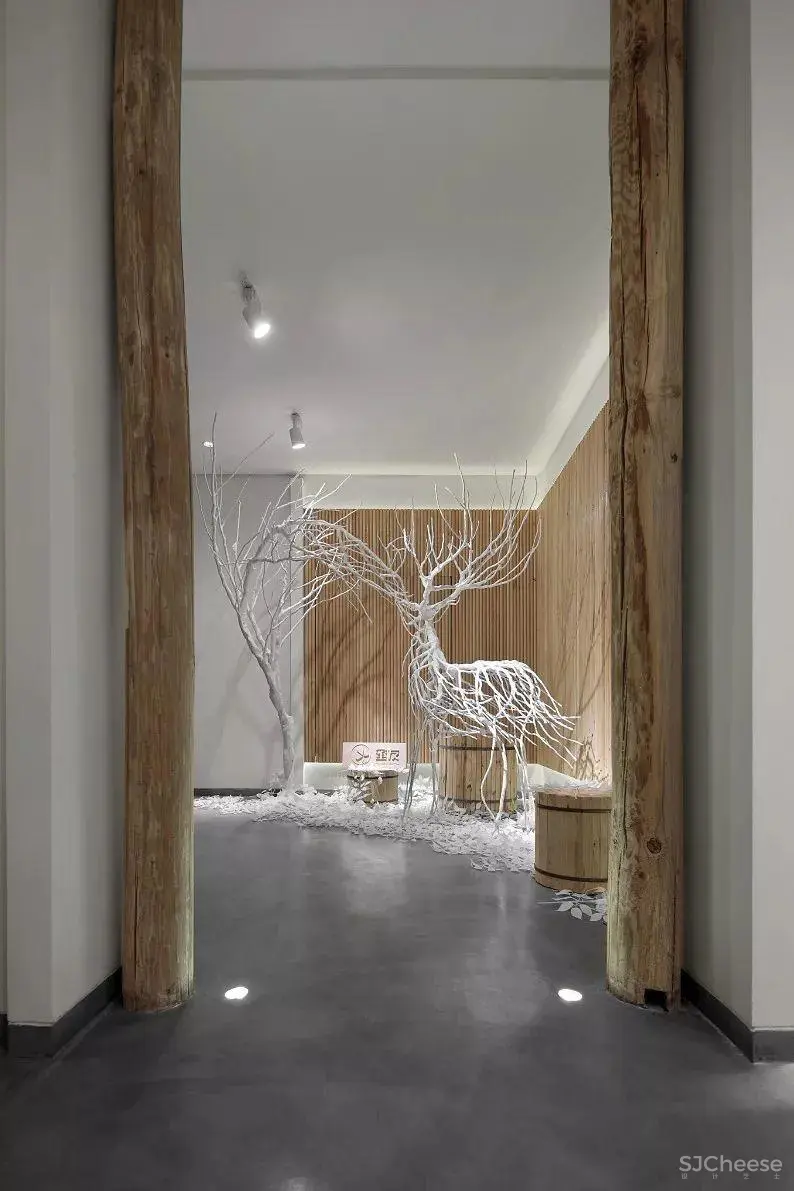 老宅里的舞蹈 | 云南白药健康体验店