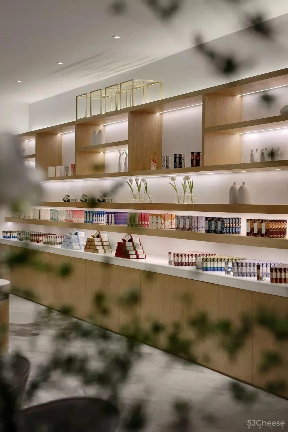 老宅里的舞蹈 | 云南白药健康体验店