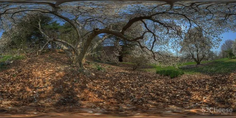 EnScape For SU渲染插件草图大师外景360°HDR文件1.31G