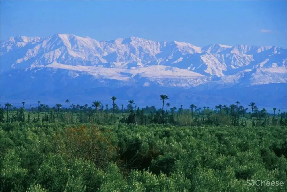 全球文华东方酒店丨作品摄影合集丨32套案例899张JPG图丨4.44G