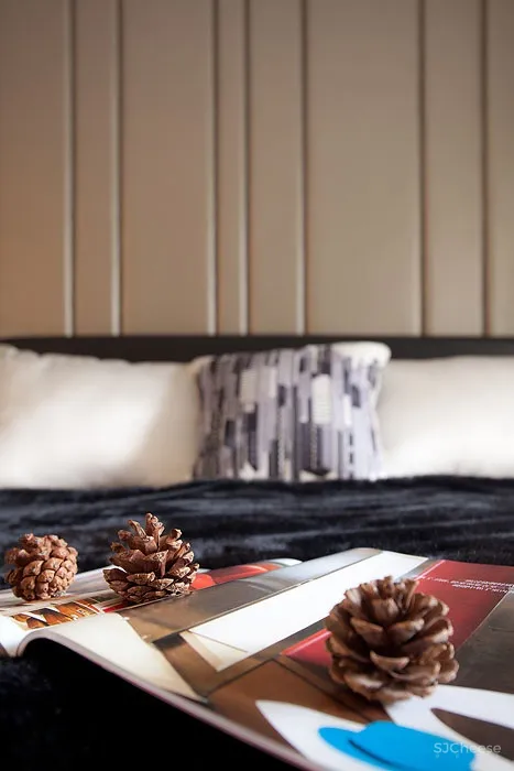 徐树仁 杭州丽景山样板房丨CAD施工图+效果图+实景照片丨32.4M