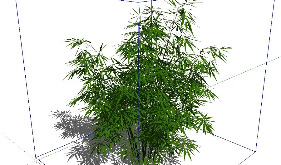 17个sketchup竹子竹叶竹林绿植SU模型合集