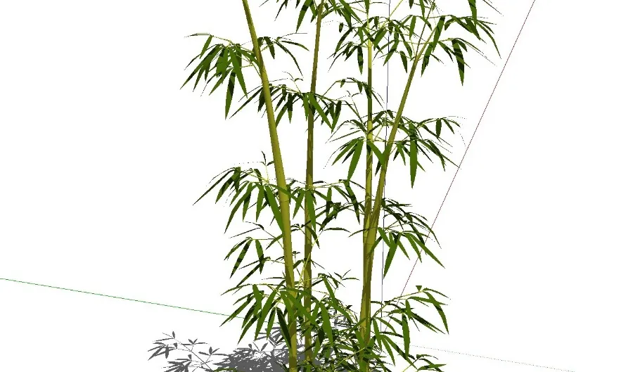 17个sketchup竹子竹叶竹林绿植SU模型合集