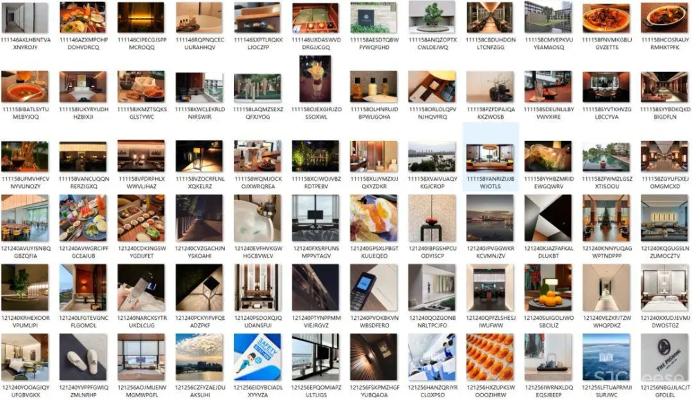 Layan+金螳螂-厦门璞尚酒店丨效果图+施工图+机电+摄影+实景丨2.51G