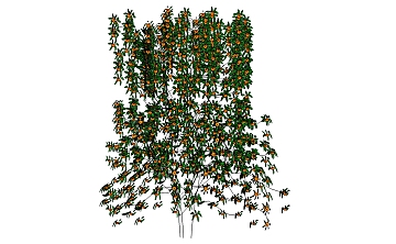 家装工装绿植墙爬藤藤蔓植物SU模型skp+jpg预览图 194个 950M