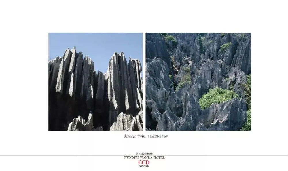 CCD设计 – 万达酒店室内设计丨CAD施工图纸+设计方案+效果图丨868M