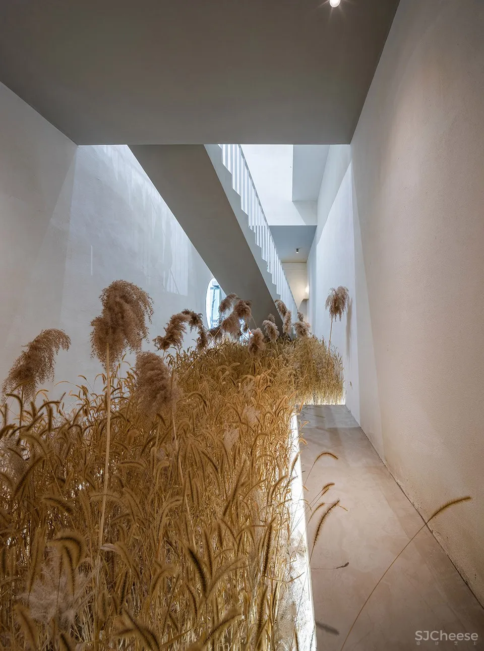 T·P Products体验店,北京 / 小山丘舍设计工作室 首