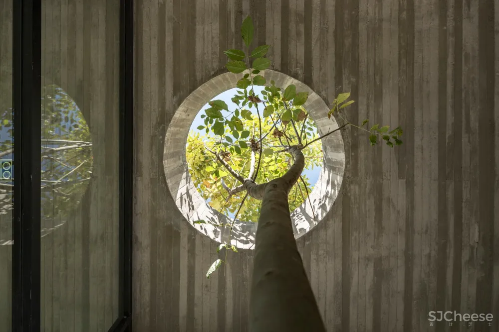 Gabriel Rivera Arquitectos | 森林概念住宅 Tacuri House