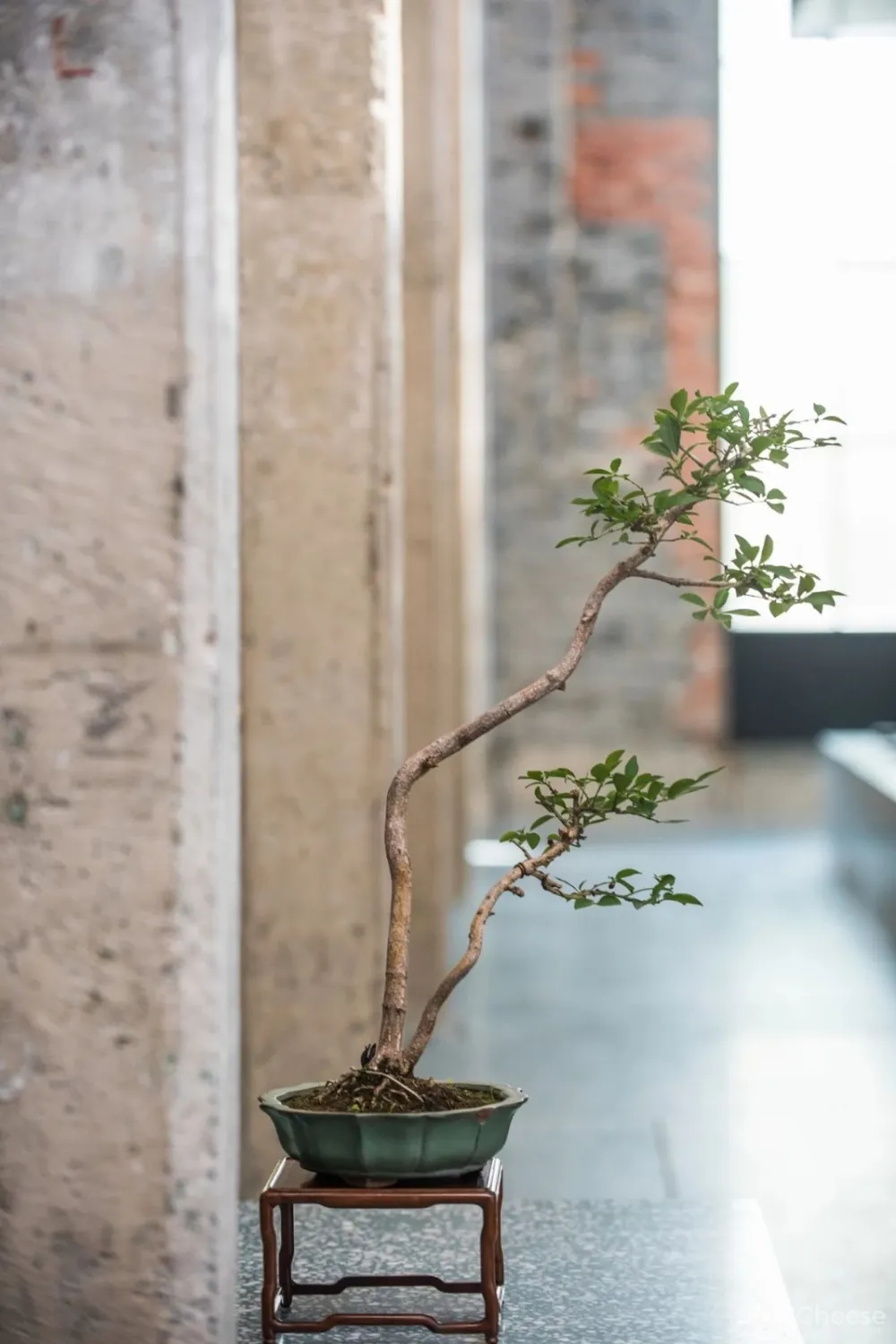 新作 | 耗资1000万,在450 m² 的老建筑内造了8个房子! 首