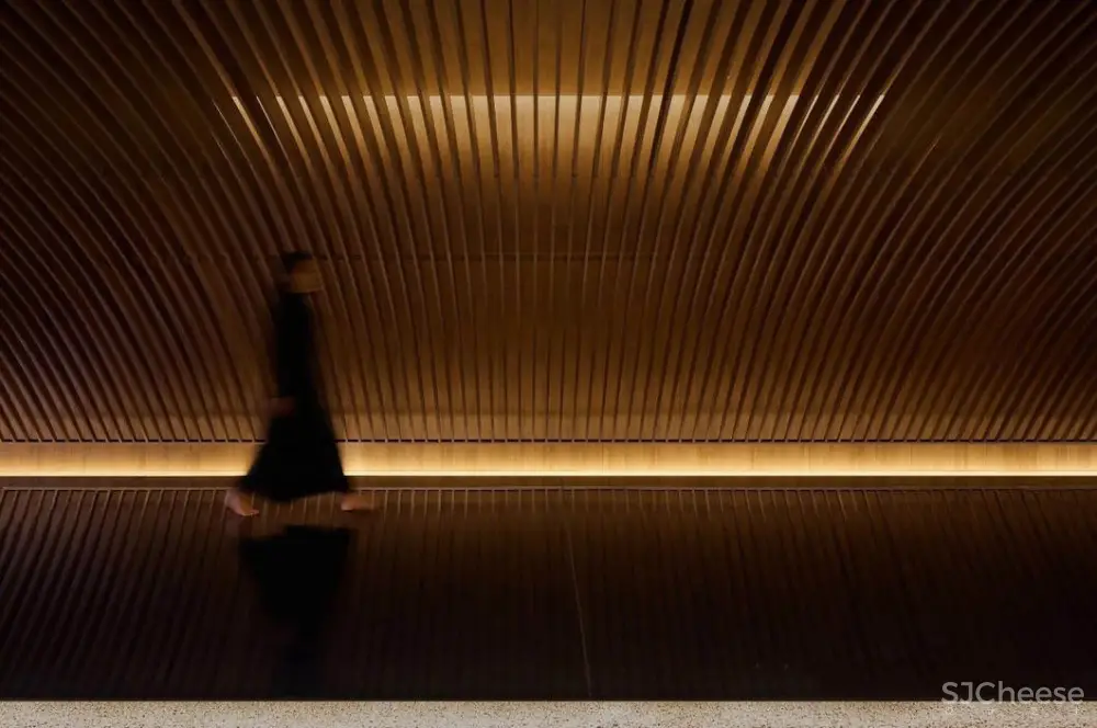 诗入空间,一场‘逐梦’之旅 | 孙天文最新力作 首