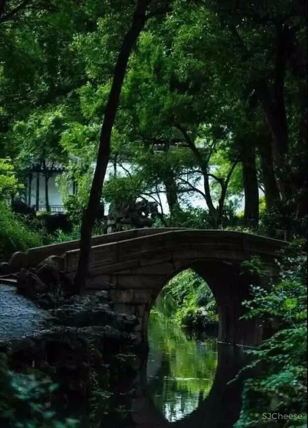 碧波黛瓦 | 苏州人骨子里的生活艺术！