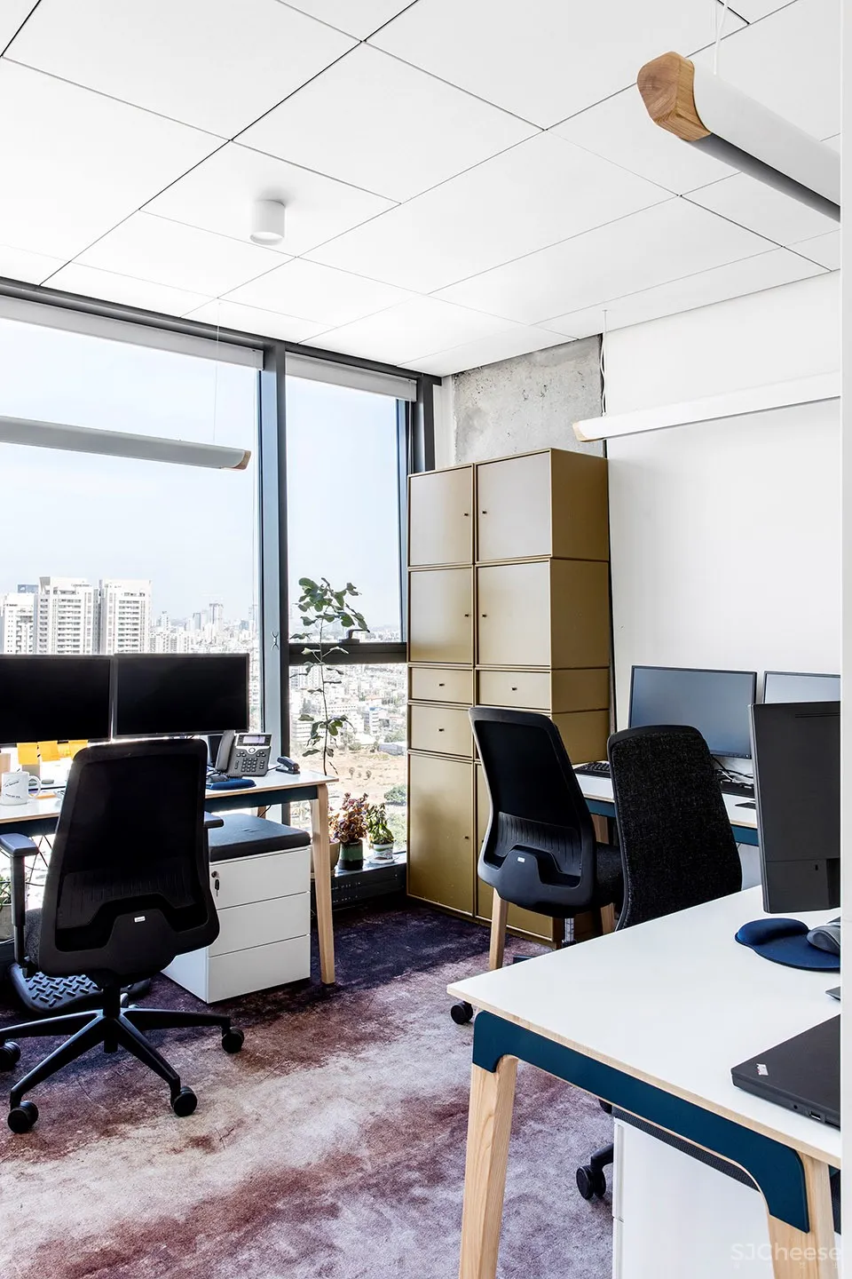 NUVO公司总部办公室，以色列 / Roy David Architecture 首