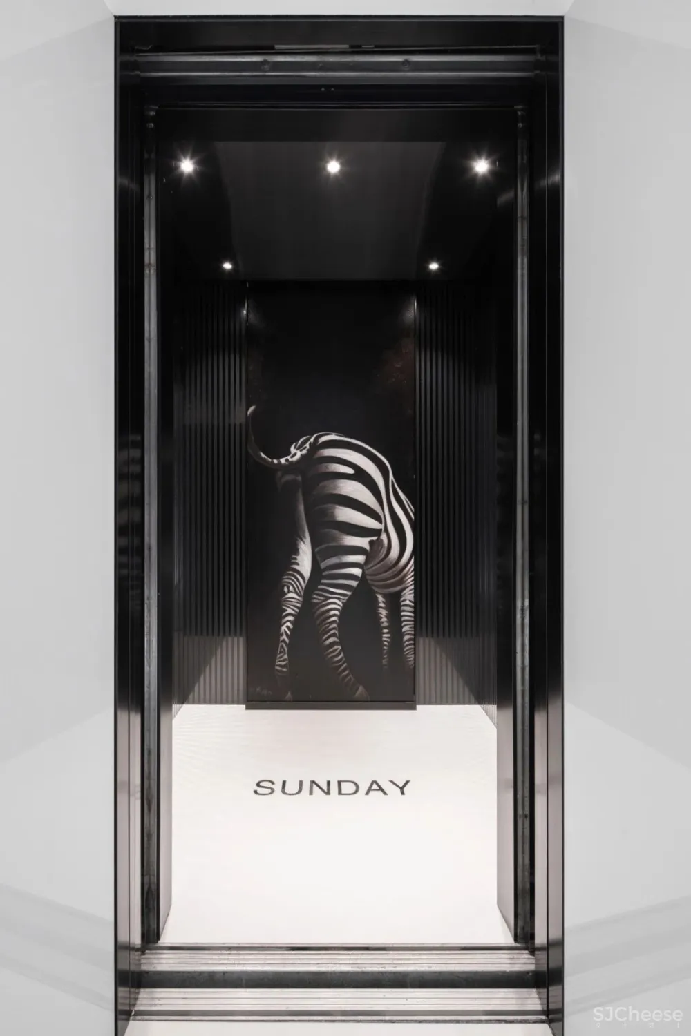 最新 | 为了爱，李想设计了中国首家动物艺术酒店，惊艳杭州 首