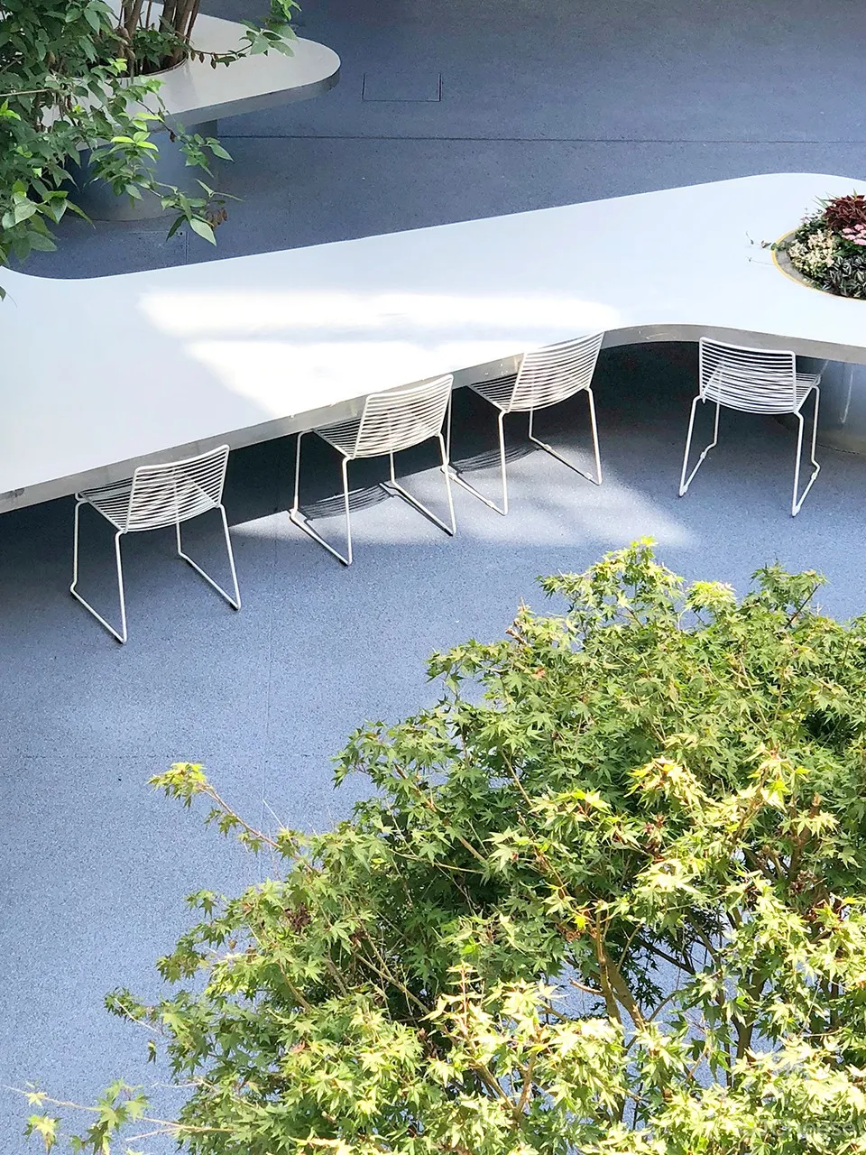 树桌花园,上海 / 大观景观设计