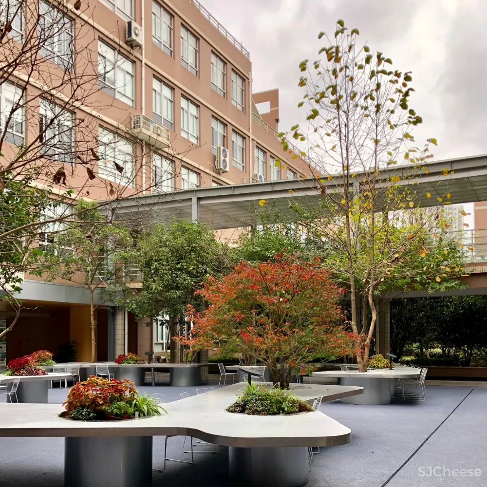 树桌花园,上海 / 大观景观设计