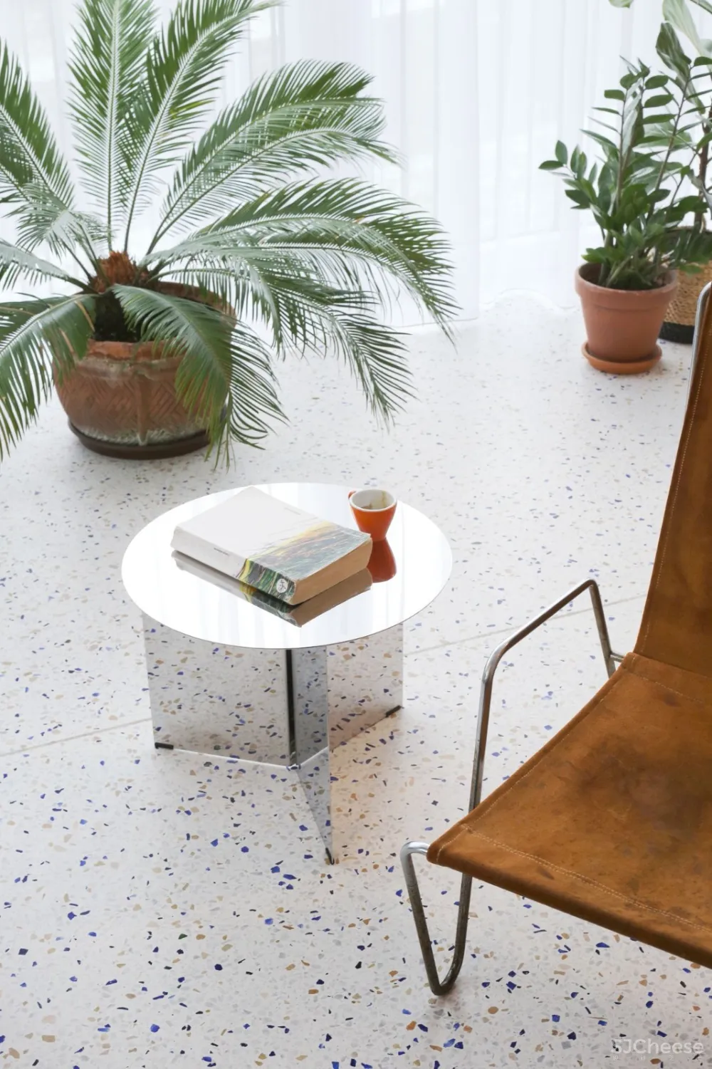 最新 | 绿色植物明亮现代公寓 Mesarska