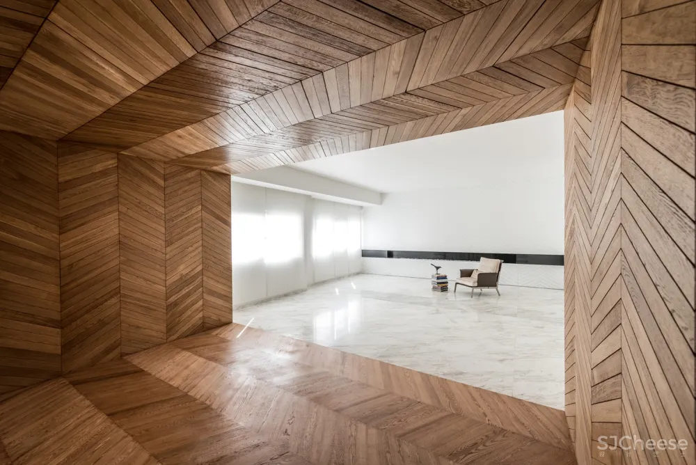 Rooydaad Architects | 光、空间、秩序的建筑模式 Tehran Apartment 首