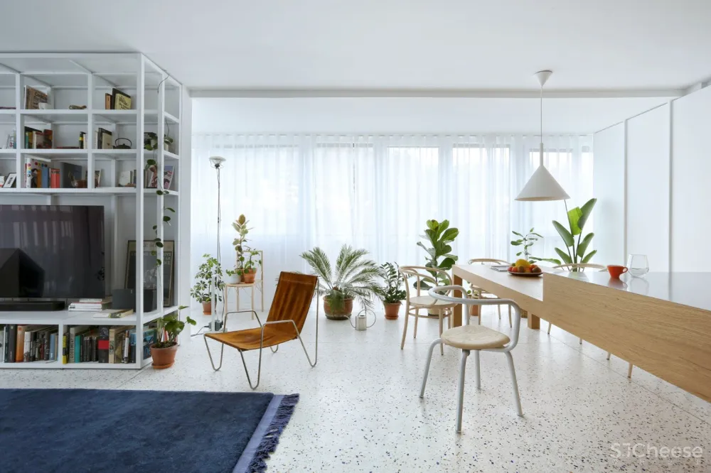 最新 | 绿色植物明亮现代公寓 Mesarska