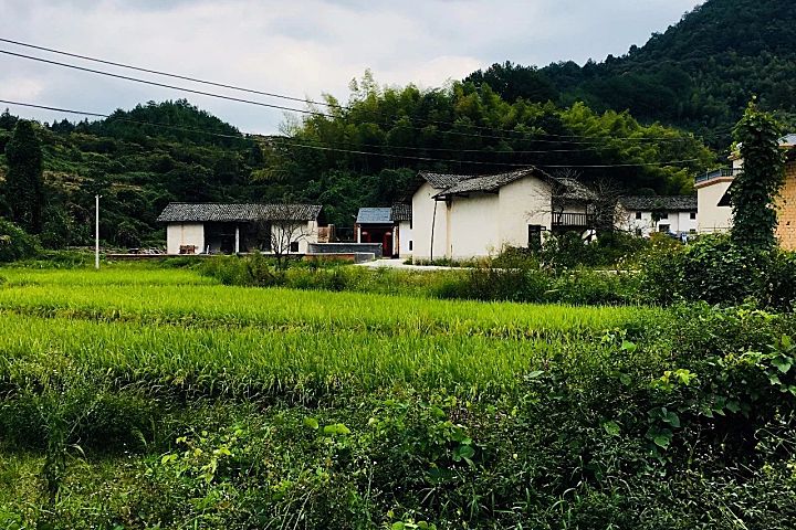 作品赏析|栖于山麓——新民居营造手记