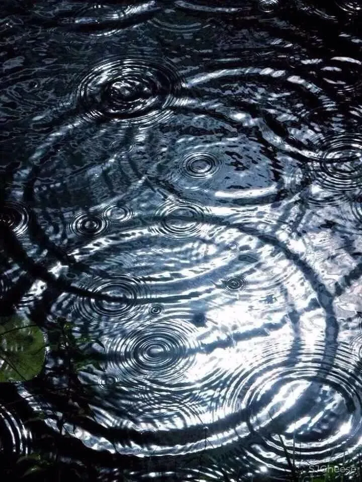 碧波黛瓦 | 苏州人骨子里的生活艺术！