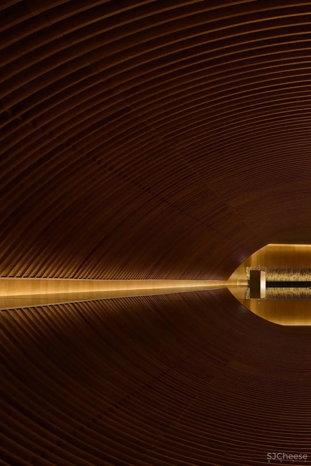 诗入空间,一场‘逐梦’之旅 | 孙天文最新力作 首