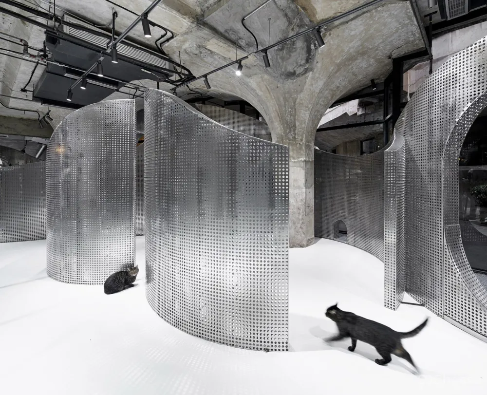 最新 I.F.S.E. SPACE CREATIVE LAB | 上海“动物脊背”零售空间设计 首