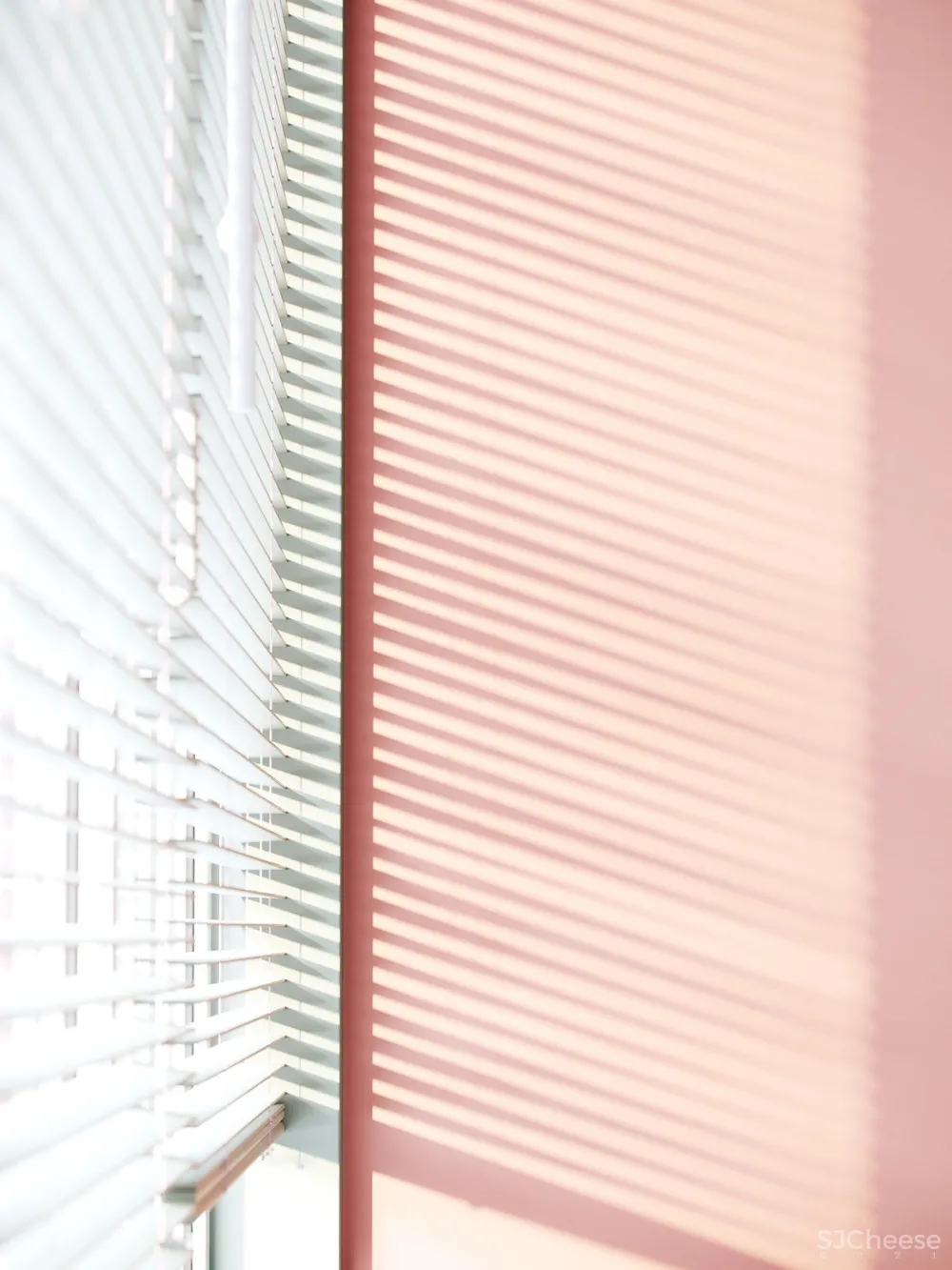 莫斯科充满艺术气息的现代住宅 | ATO Studio 首