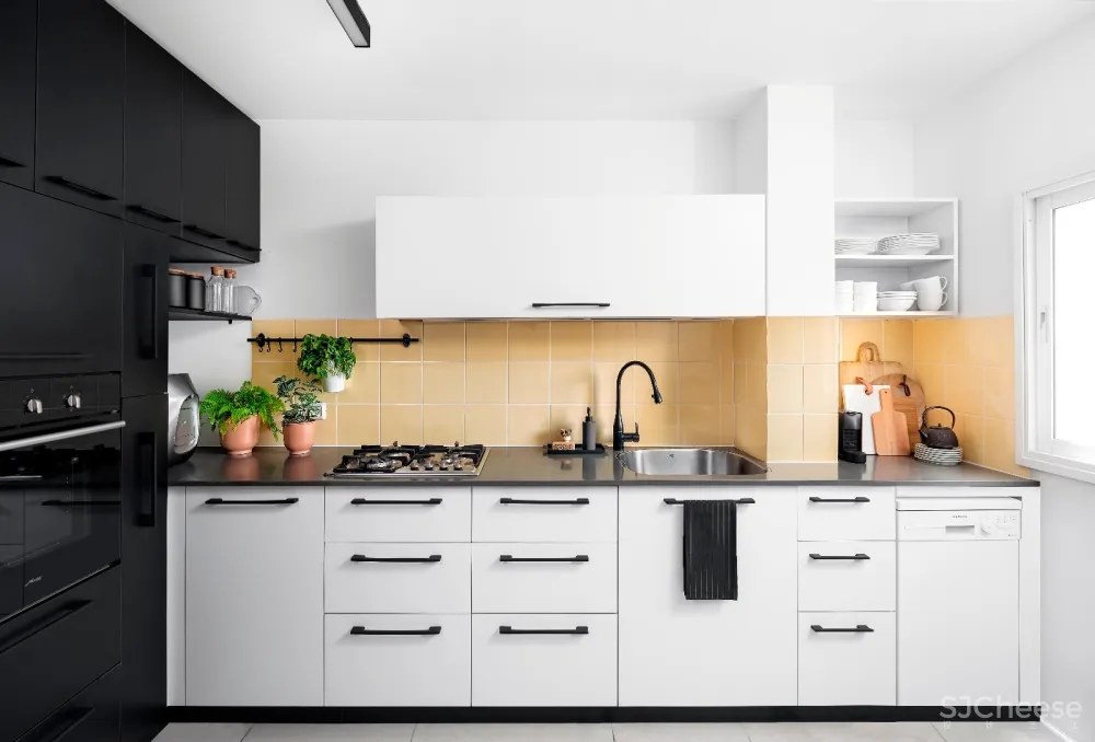 95㎡为退休夫妇准备的公寓 | studio etn