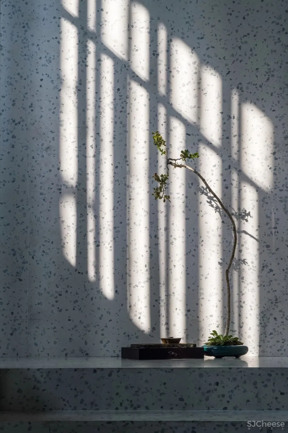 新作 | 耗资1000万,在450 m² 的老建筑内造了8个房子! 首