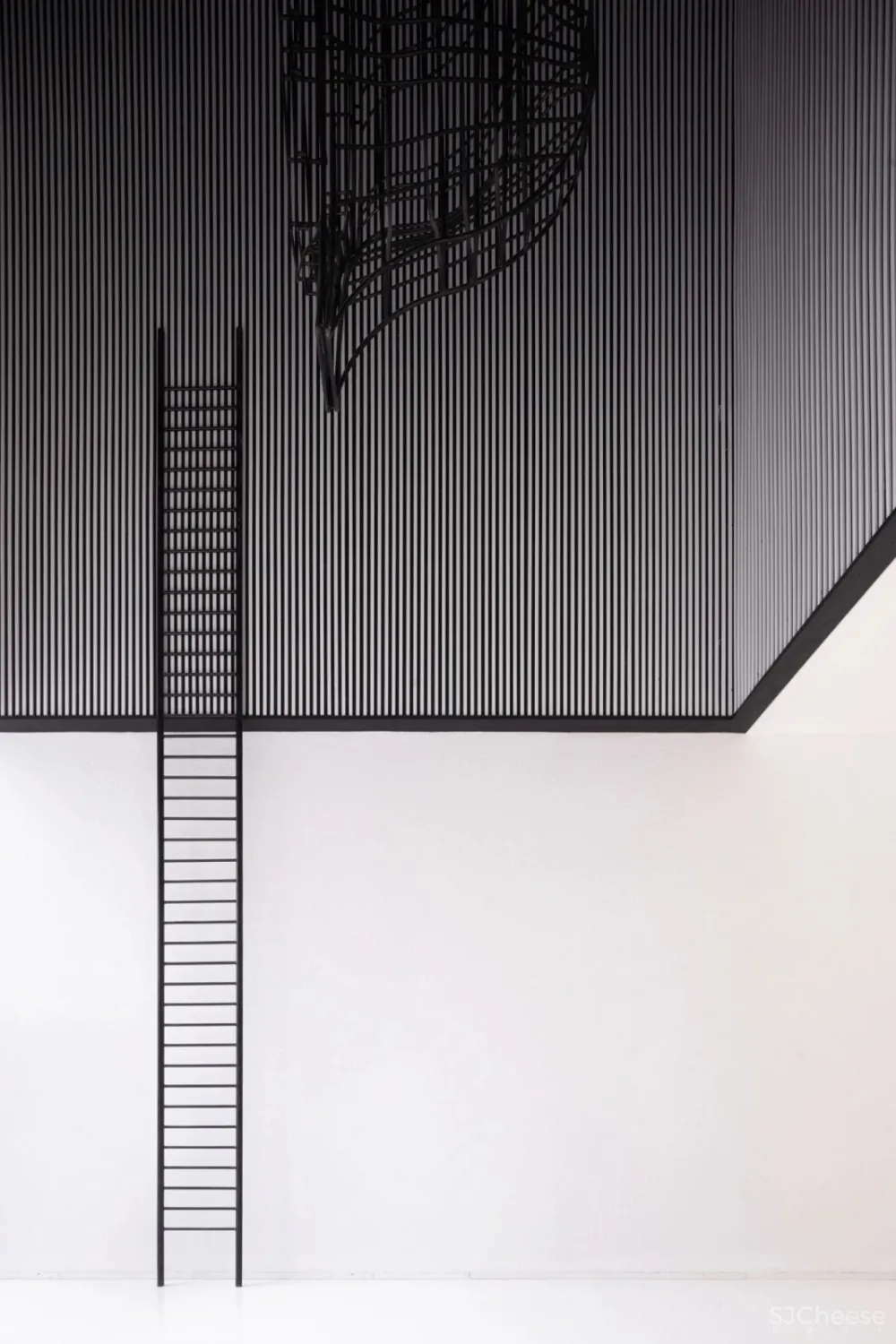 最新 | 为了爱，李想设计了中国首家动物艺术酒店，惊艳杭州 首