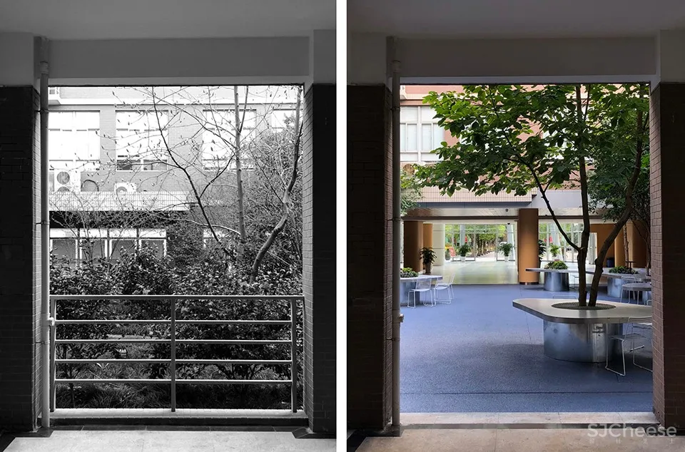 树桌花园,上海 / 大观景观设计