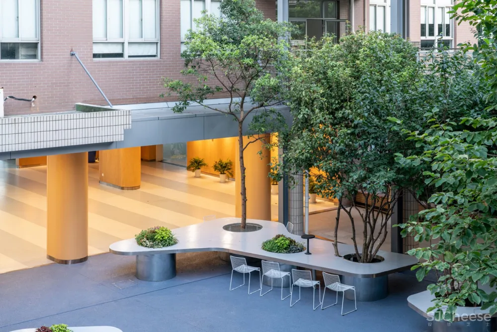 树桌花园,上海 / 大观景观设计