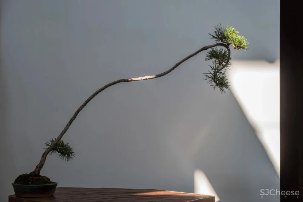 新作 | 耗资1000万,在450 m² 的老建筑内造了8个房子! 首