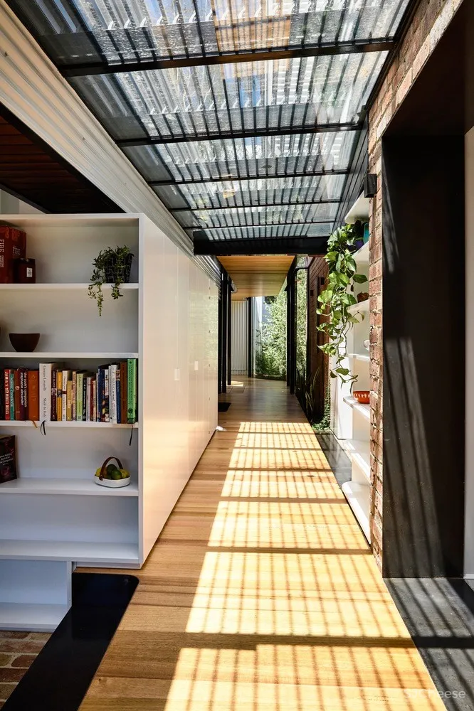 Austin Maynard Architects | King Bill 四口之家