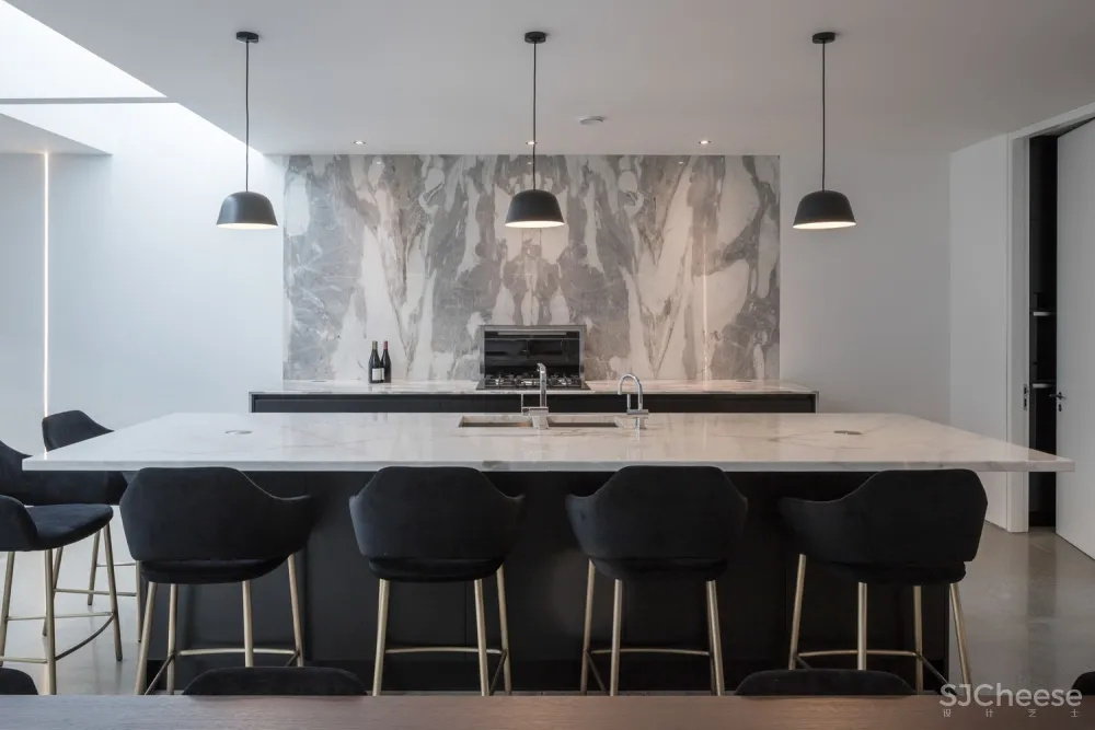 ODOS architects | 爱尔兰优雅住宅 首