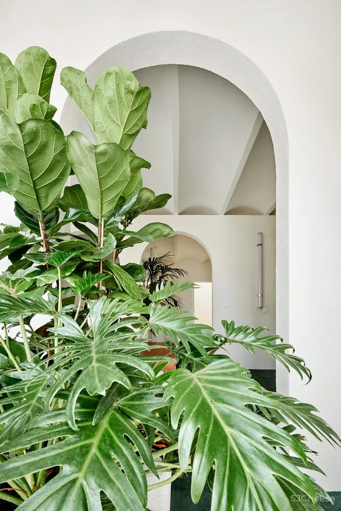 P-M-A-A | 巴塞罗那圆拱优雅别墅 PENTHOUSE