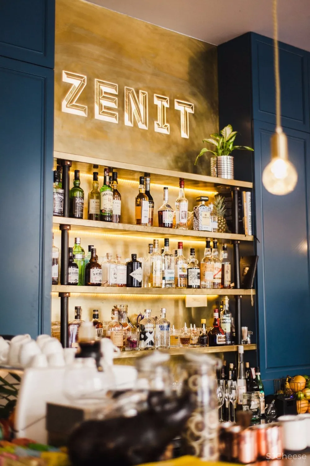 克拉科夫新古典餐厅 | Piotr Paradowski