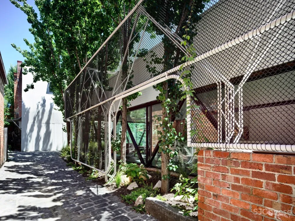 Austin Maynard Architects | King Bill 四口之家