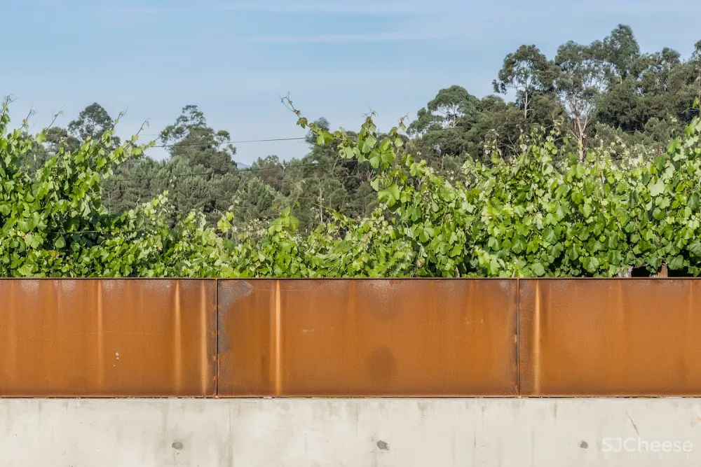 FCC Arquitectura | 葡萄牙拥有大地形区域的别墅 Campo das Paulas