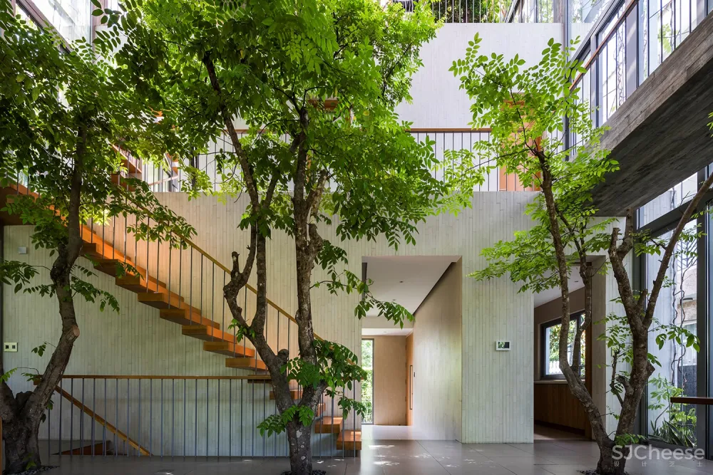 布满绿色植物的住宅 / VTN Architects 首