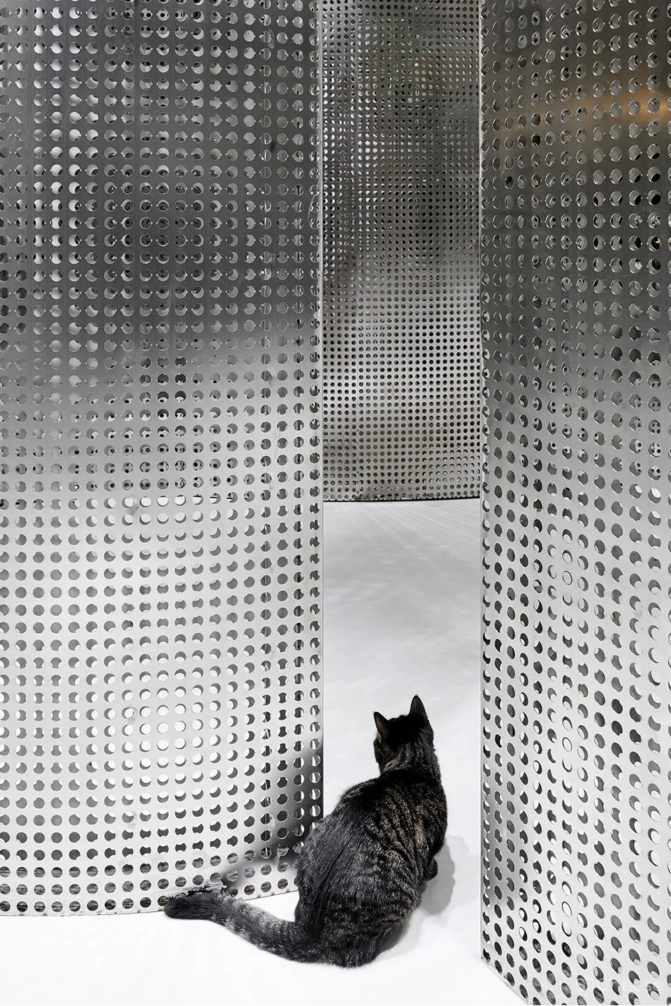 最新 I.F.S.E. SPACE CREATIVE LAB | 上海“动物脊背”零售空间设计 首