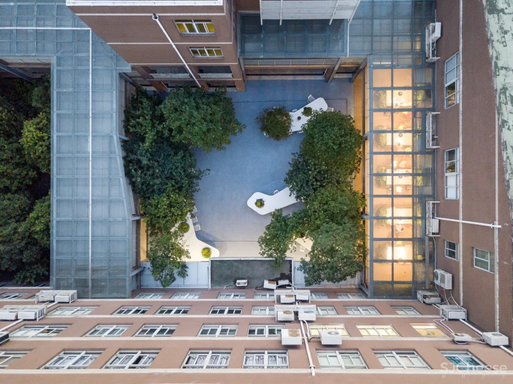 树桌花园,上海 / 大观景观设计